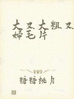 大又大粗又爽少妇毛片