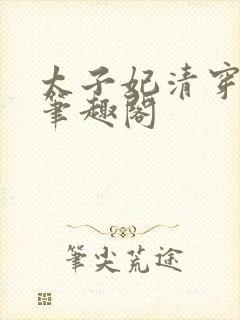 太子妃清穿康熙笔趣阁