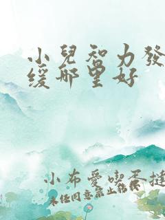 小儿智力发育迟缓哪里好