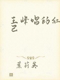 王峰唱的红颜知己