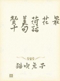 赞美荷花最经典十句话