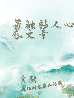 最触动人心的情感文章