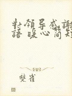 对领导感谢的话语 暖心简短