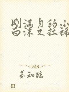 刚满月的小猫吐白沫又拉稀怎么办