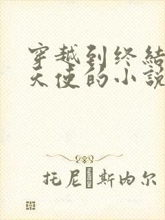 穿越到终结的炽天使的小说