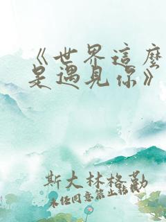 《世界这么大还是遇见你》歌词