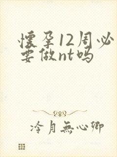 怀孕12周必须要做nt吗