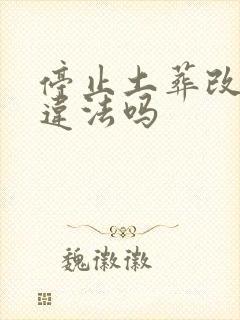 停止土葬改火葬违法吗