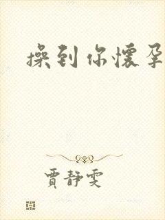 操到你怀孕为止