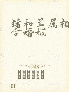 猪和羊属相合不合婚姻