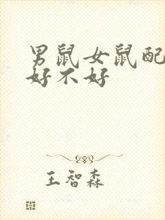 男鼠女鼠配婚姻好不好