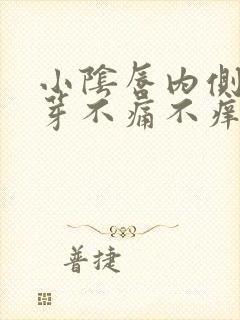 小阴唇内侧小肉芽不痛不痒