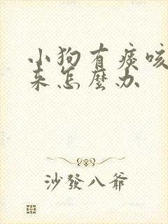 小狗有痰咳不出来怎么办