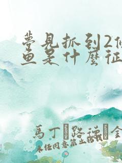 梦见抓到2条大鱼是什么征兆