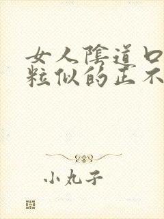 女人阴道口像颗粒似的正不正常