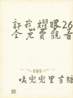 许我耀眼26集全免费观看电视剧