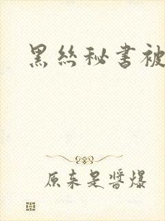 黑丝秘书被侵犯