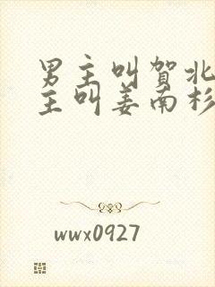 男主叫贺北峥女主叫姜南杉的小说