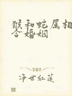 猴和蛇属相合不合婚姻