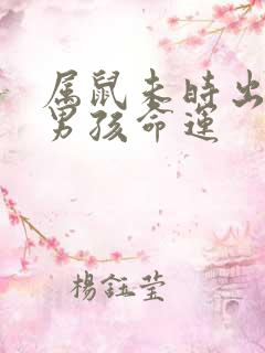 属鼠未时出生的男孩命运