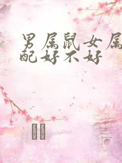 男属鼠女属狗婚配好不好