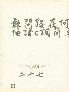 敢问路在何方吉他谱c调简单版