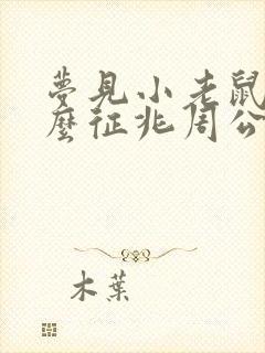 梦见小老鼠是什么征兆周公解梦