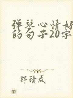 弹琴心情好不好的句子20字