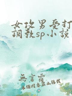 女攻男受打屁股调教sp小说