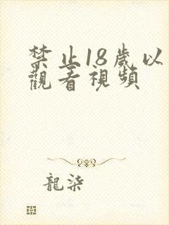 禁止18岁以下观看视频