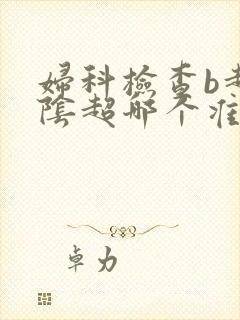 妇科检查b超和阴超哪个准确