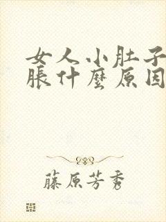 女人小肚子一直胀什么原因