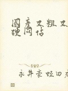 国产又粗又黄又硬网站