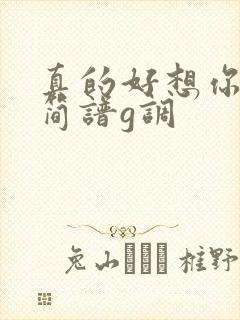 真的好想你二胡简谱g调