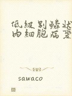 低级别鳞状上皮内细胞病变