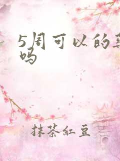 5周可以的药流吗