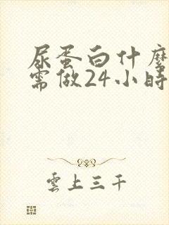 尿蛋白什么情况需做24小时定量