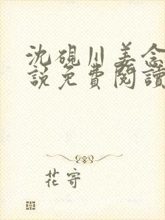 沈砚川姜念栀小说免费阅读最新章节