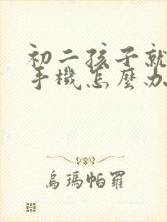 初二孩子就沉迷手机怎么办呢