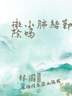 微小肺结节会消除吗