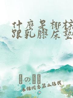 什么是椰棕床垫跟乳胶床垫的区别