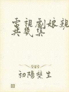 电视剧娘亲舅大共几集