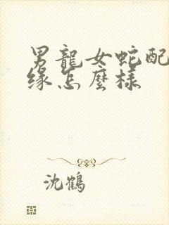 男龙女蛇配的姻缘怎么样