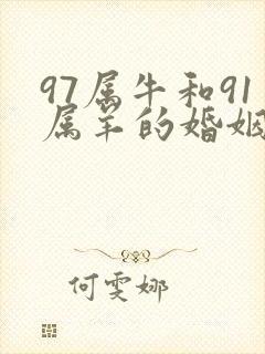 97属牛和91属羊的婚姻如何