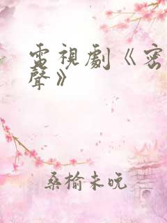 电视剧《密战无声》