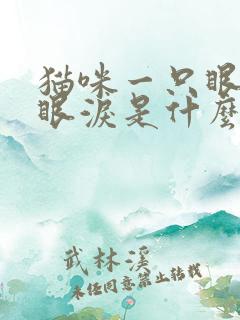 猫咪一只眼睛流眼泪是什么情况