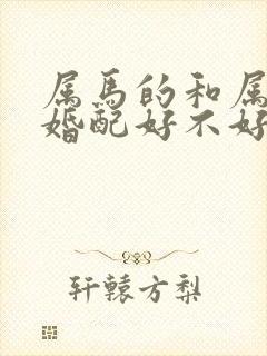 属马的和属羊的婚配好不好