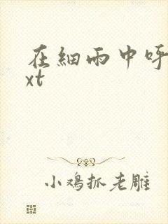 在细雨中呼喊txt