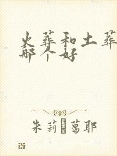 火葬和土葬到底哪个好