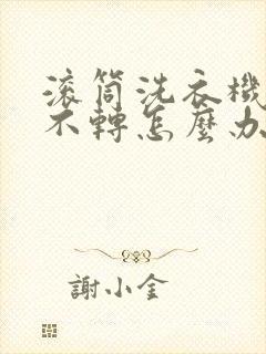 滚筒洗衣机脱水不转怎么办